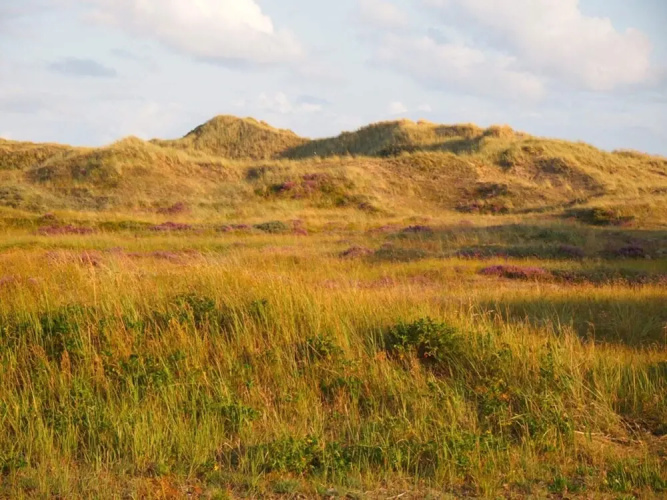 4 Person Holiday Home in Skagen-by Traum