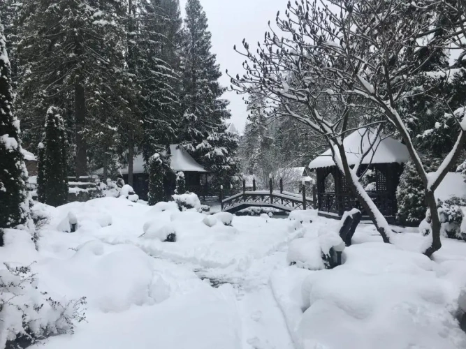 1 Bedroom Cottage