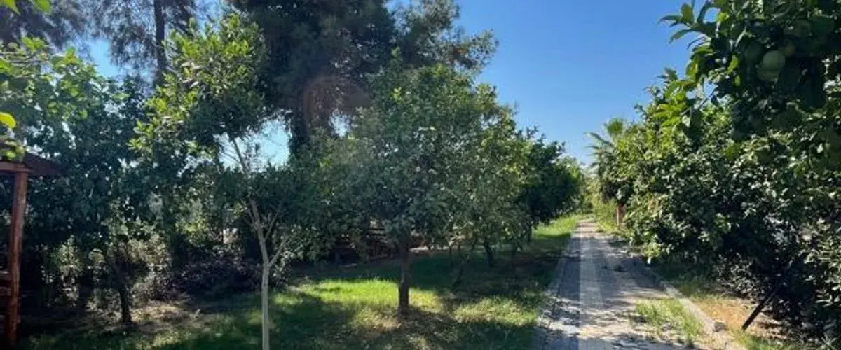 Mersin Panorama Otel