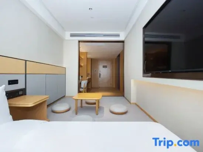 Twin Suite