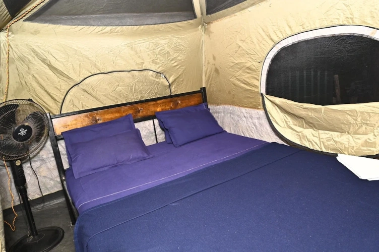 Bed in Dorm