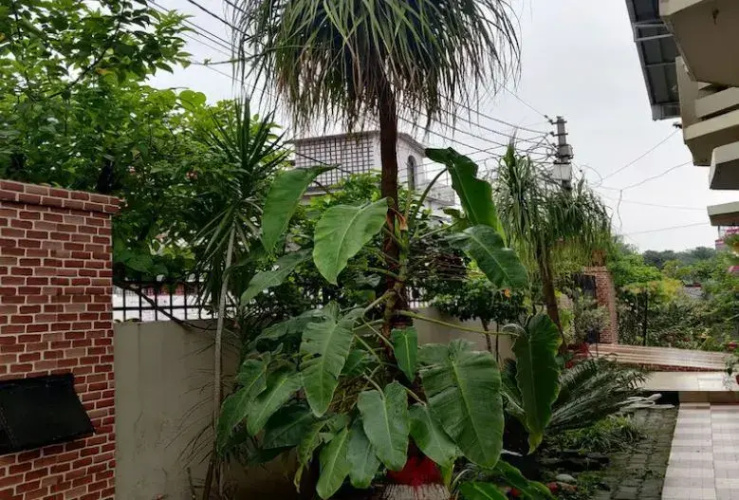 Ubex Home Samridhi