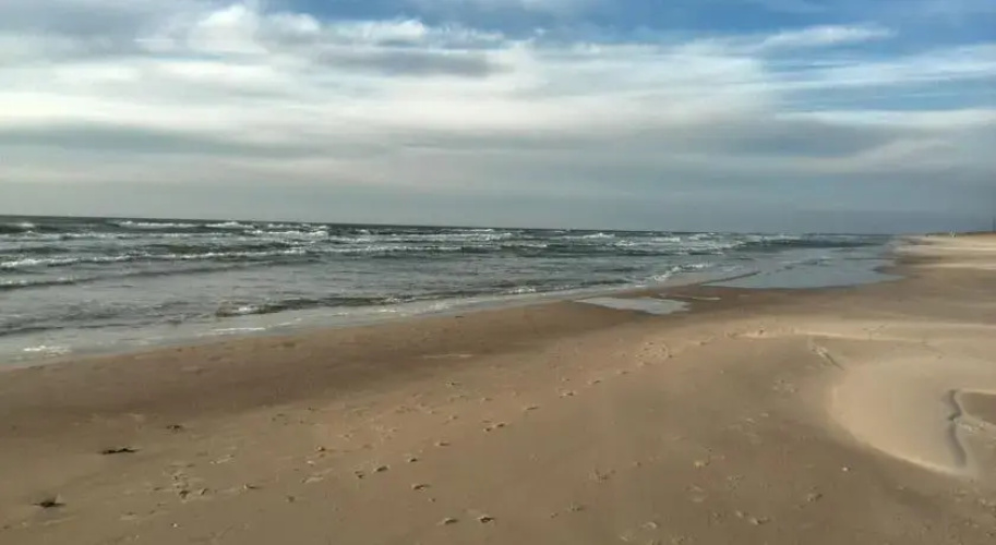Tomkuva