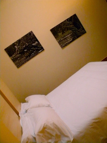 1 Bedroom Classic Suite