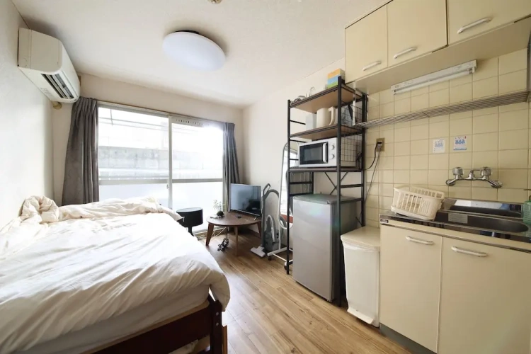 1 Bedroom Apartment