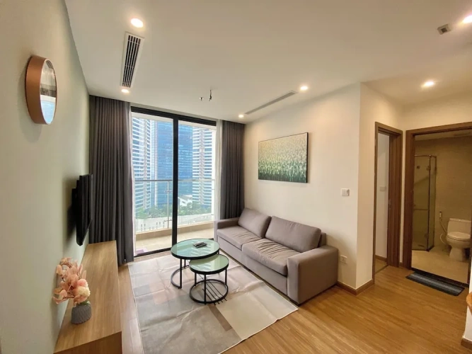 Luxury Apartment