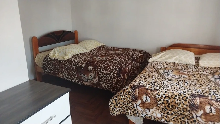 Standard Twin Family room