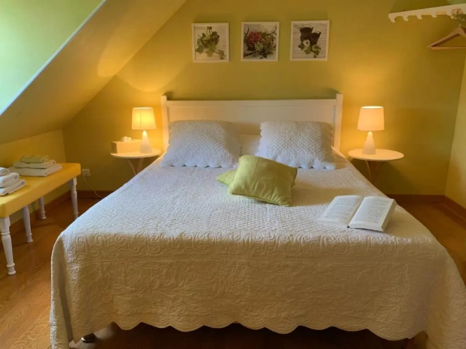 Standard Double room with garden view