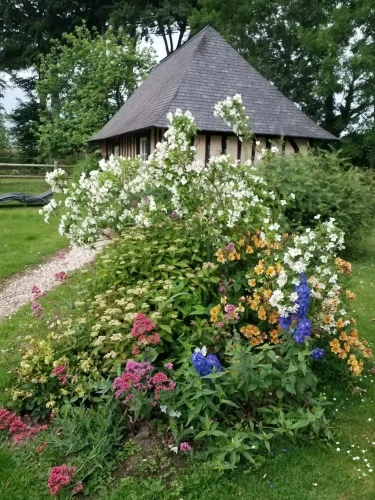 Comfort Double Studio with garden view