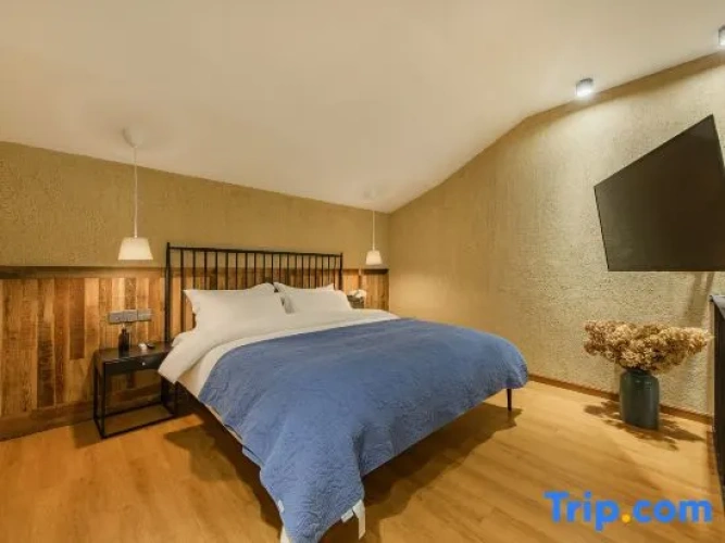 Luxury Double Apartment