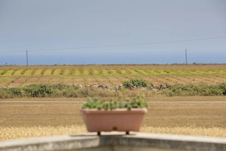 Agriturismo La Palascia