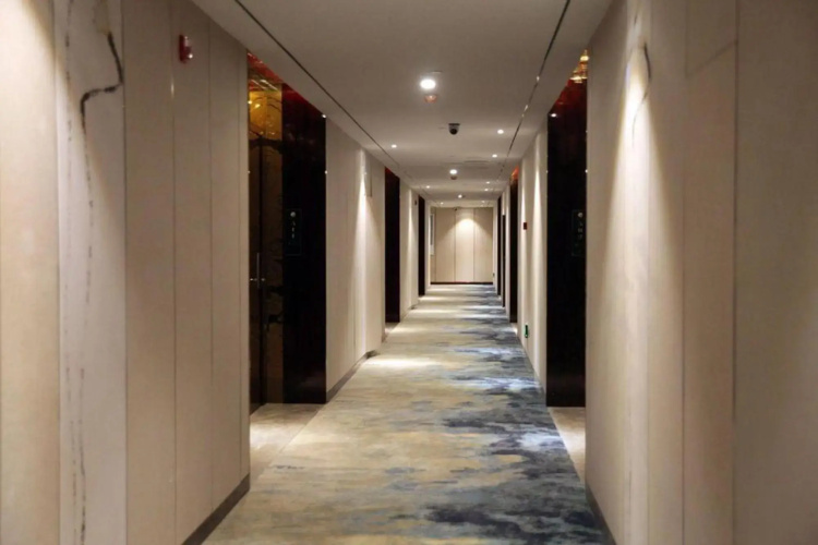 Pangu Art Hotel