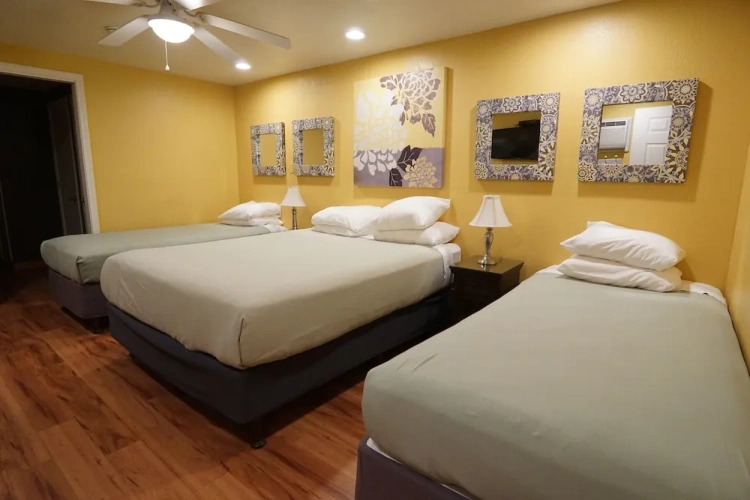 Sextuple Family Suite