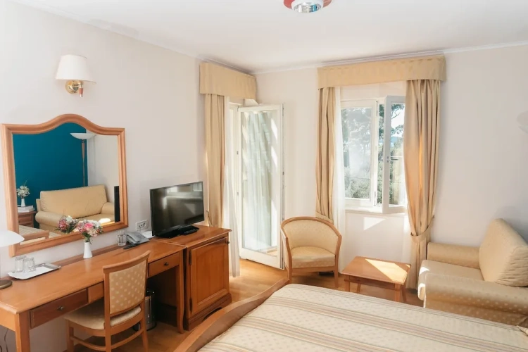 Standard Double room with balcony and with sea view