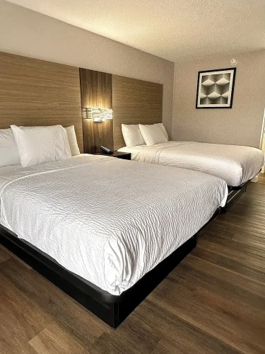 Economy Double room