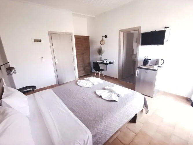 Standard Double room with balcony and with garden view