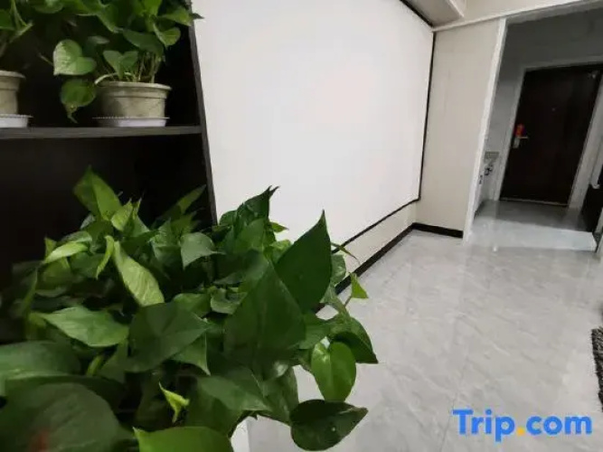 Shiguang selected apartment