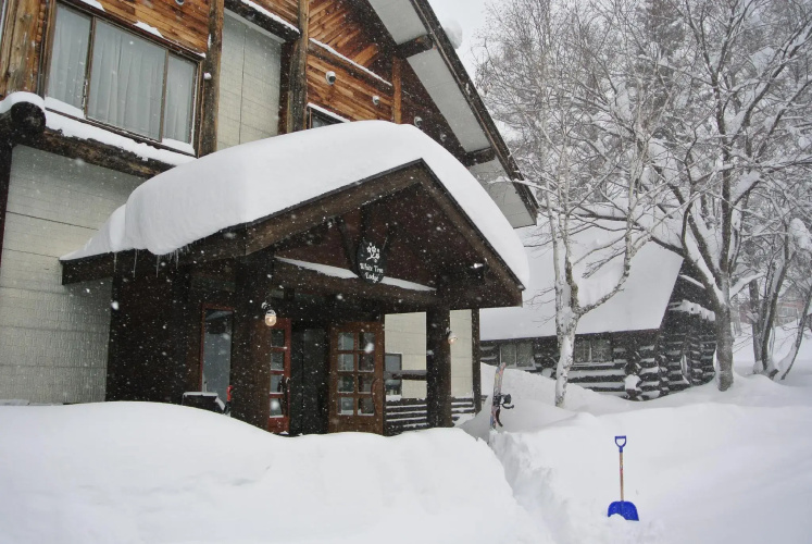 WhiteTree Lodge