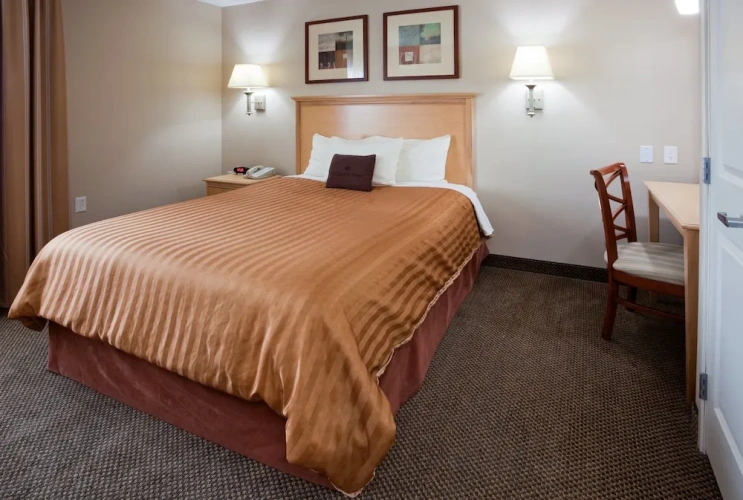 1 Bedroom Suite