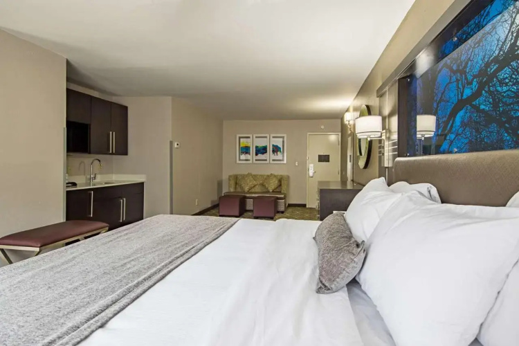 Ramada Clemson