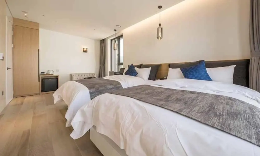 Deluxe Twin room
