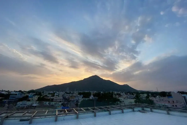 Hotel Amoha