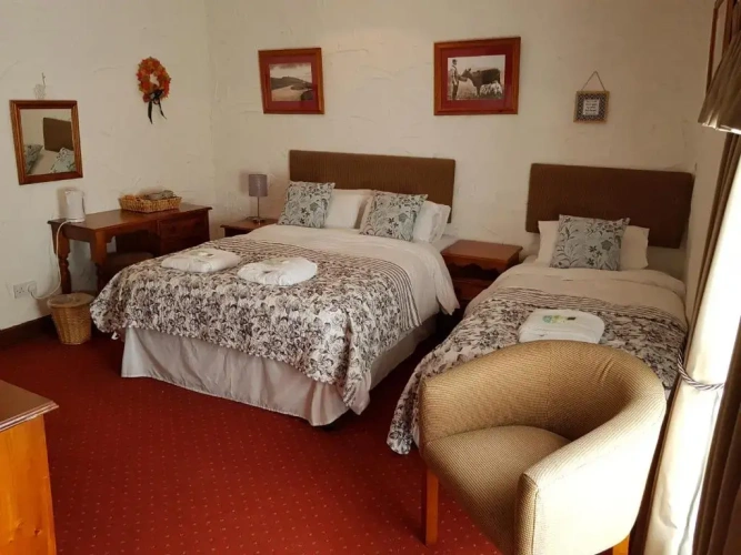 Standard Family room