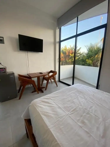 Standard Apartment with view
