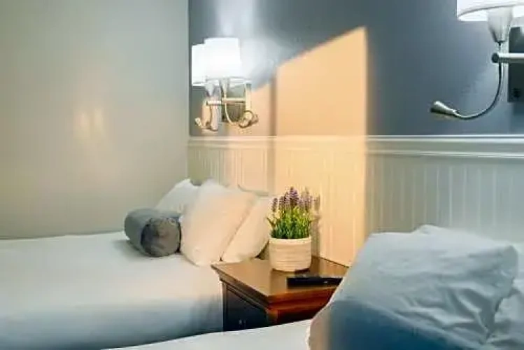 Standard Twin Penthouse room with garden view