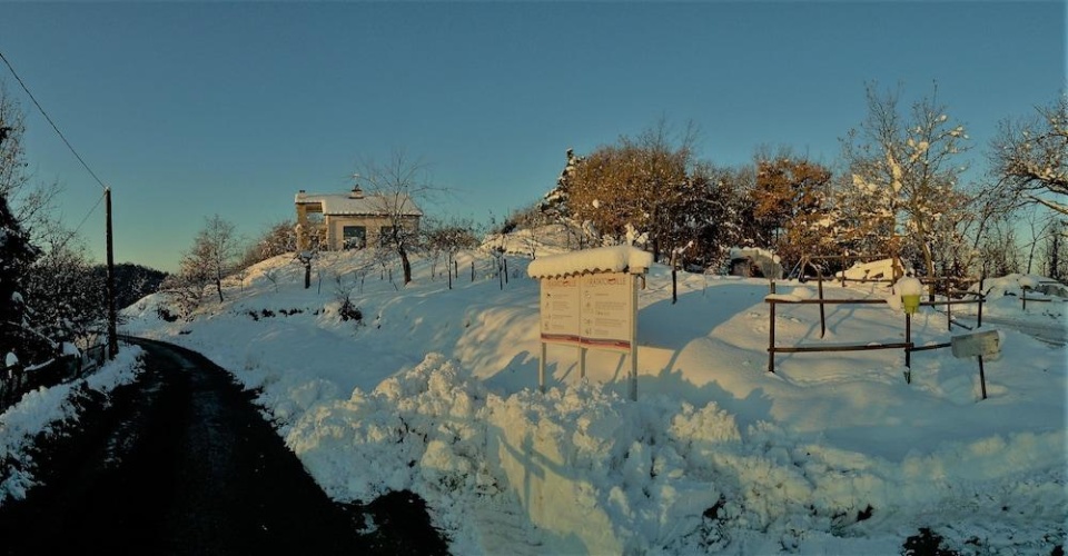 Outside