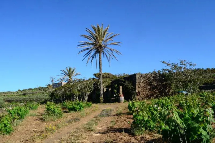 Dammuso Campobello