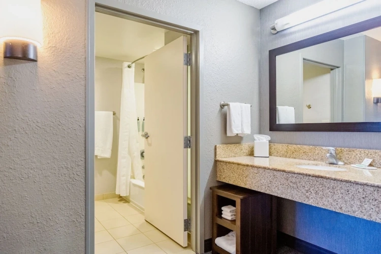 1 Bedroom Suite