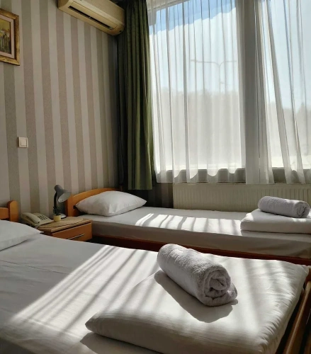 Business Double room with garden view