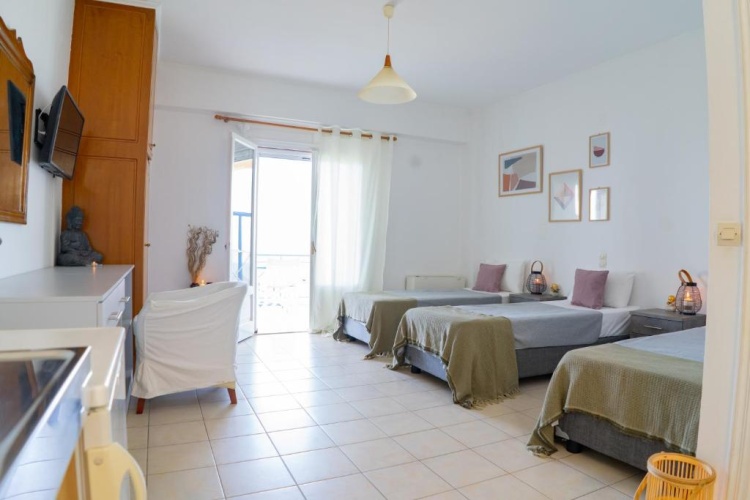 Standard Double room with balcony and with sea view