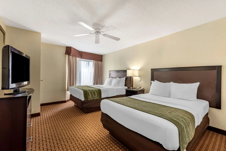 Quadruple Suite