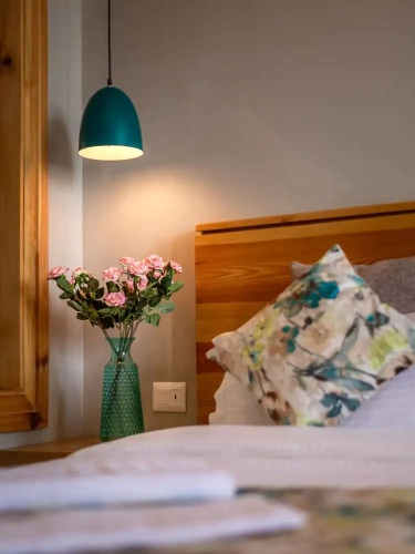 Superior Double room with balcony and with land view