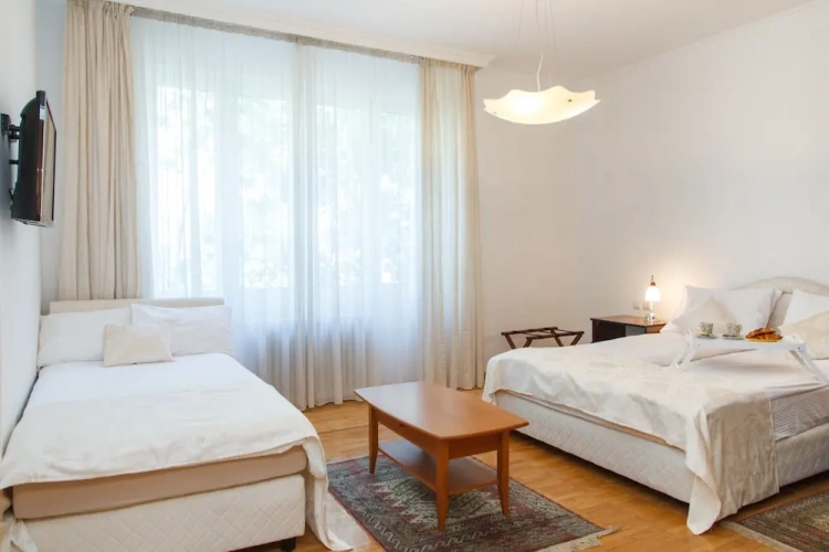 2 Bedrooms Standard Apartment with city view