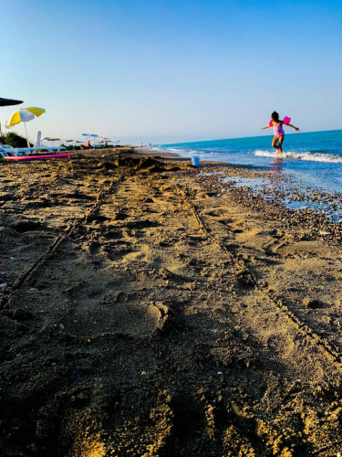Altinkum Tatil Koyu