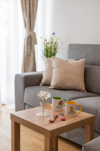 Luxury Apartment Solinka With Private Parking