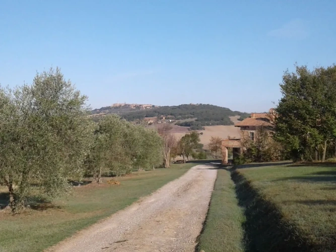 1 Bedroom Apartment with land view
