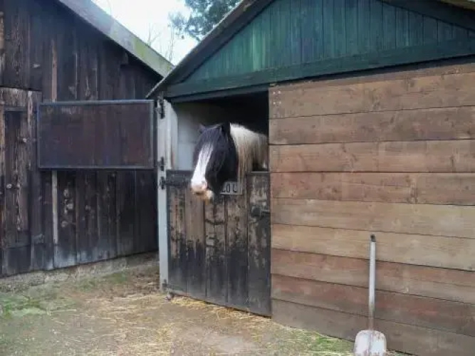 Hoeve Heidonk