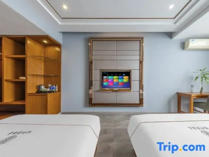 Luxury Twin room