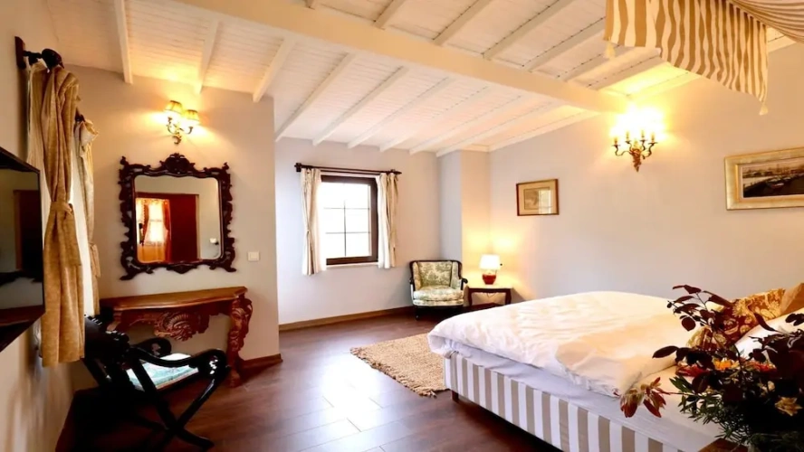 Standard Double room with balcony and with pool view