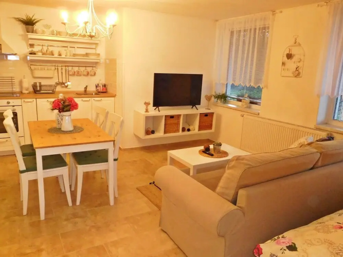 Apartment Boroví