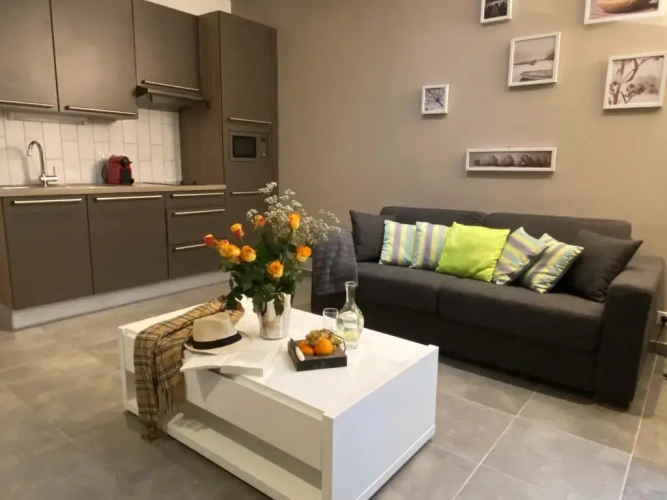 1 Bedroom Apartment