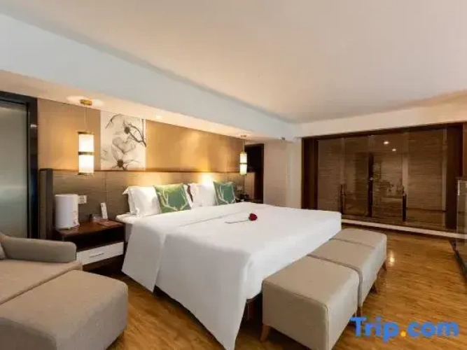 Duplex Suite