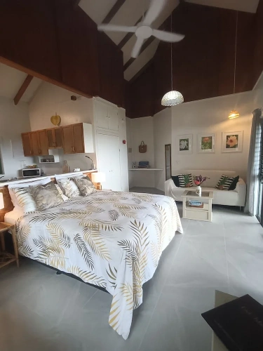 Premier Studio