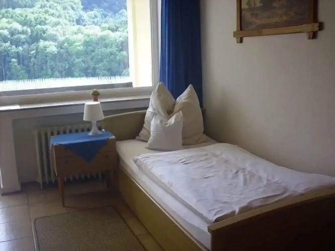 Classic Single room with mountain view