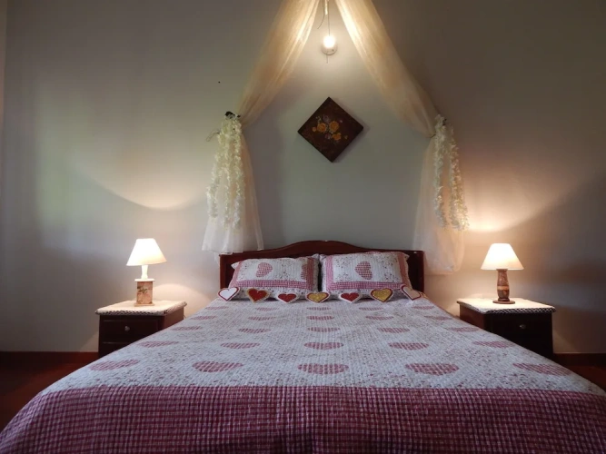 Standard Double room with garden view