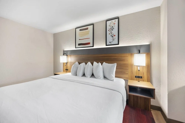 1 Bedroom Double Suite